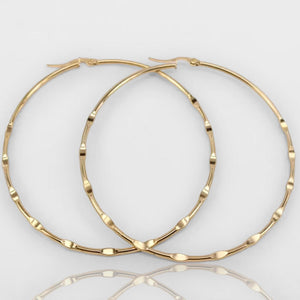 Ari Hoops