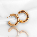 Load image into Gallery viewer, Nadia Hoops
